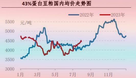 7月肉鸡市场行情分析及8月行情预测