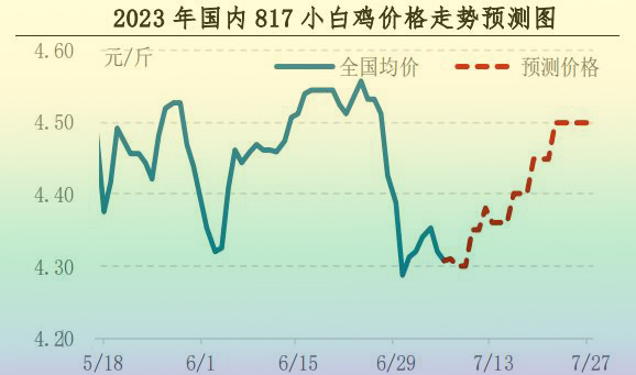 肉鸡市场行情汇总