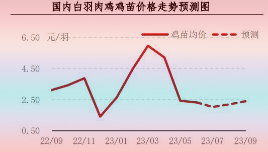 6月肉鸡市场行情分析及后市行情预测