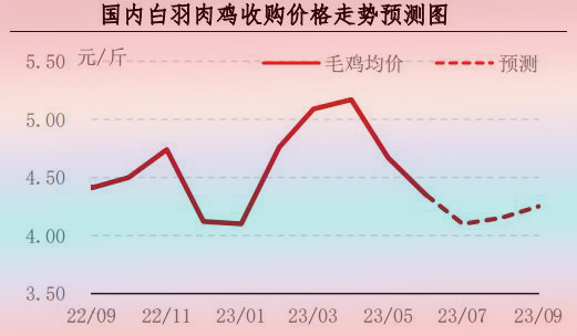 6月肉鸡市场行情分析及后市行情预测