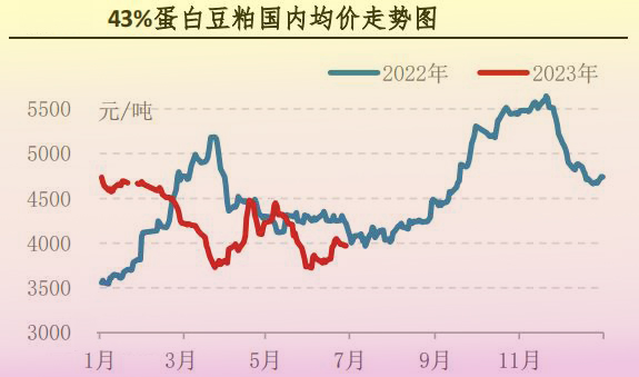 6月肉鸡市场行情分析及后市行情预测