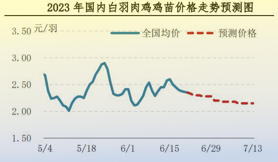 肉鸡市场行情汇总