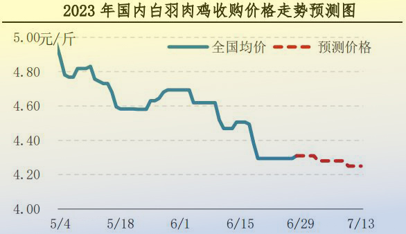 肉鸡市场行情汇总