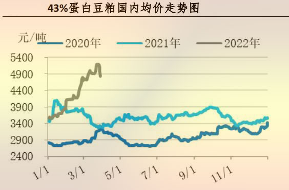 蛋白豆粕均价