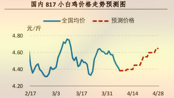 817小白鸡