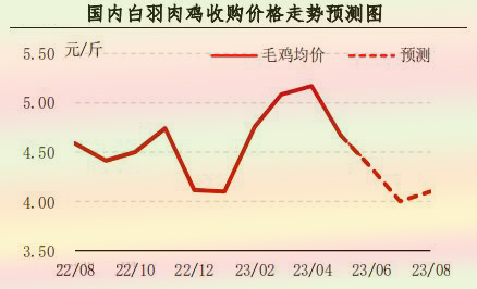 5月肉鸡市场行情分析及6月预测