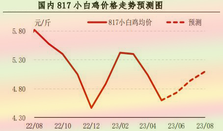 5月肉鸡市场行情分析及6月预测