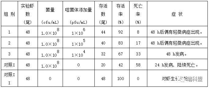 表1 噬菌体防治副溶血弧菌病的实验结果