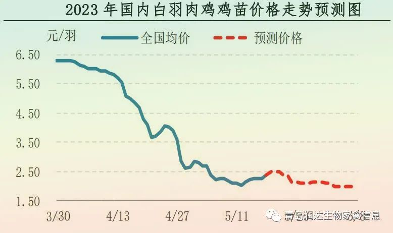 肉鸡市场行情汇总