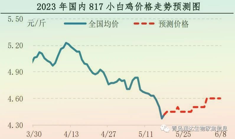 肉鸡市场行情汇总