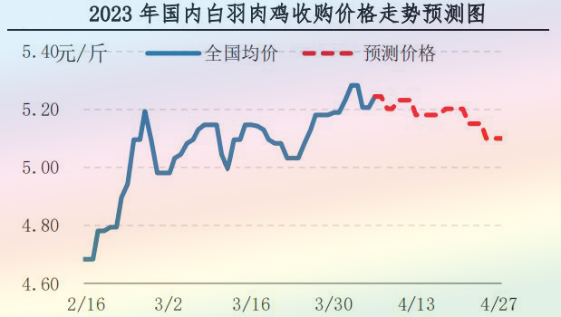 肉鸡市场行情汇总