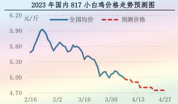 肉鸡市场行情汇总