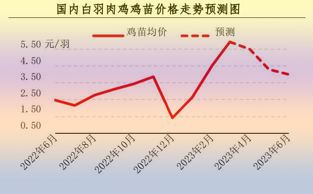 3月肉鸡市场行情分析及4月预测