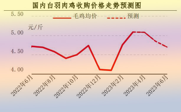 3月肉鸡市场行情分析及4月预测