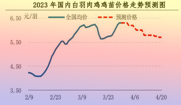 肉鸡市场行情汇总