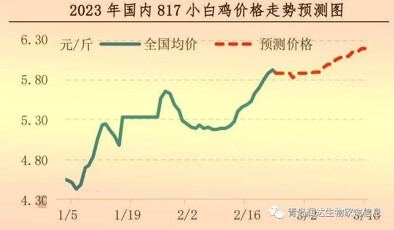 肉鸡市场行情汇总