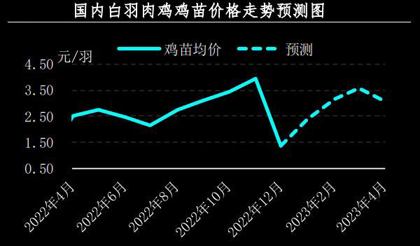 1月肉鸡市场行情分析及2月预测