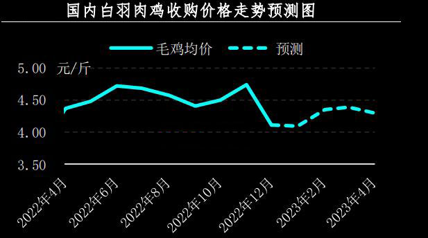 1月肉鸡市场行情分析及2月预测