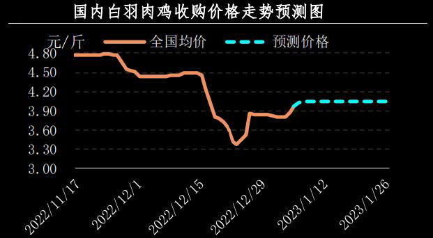 肉鸡市场行情汇总