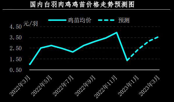 12月肉鸡市场行情分析及1月预测