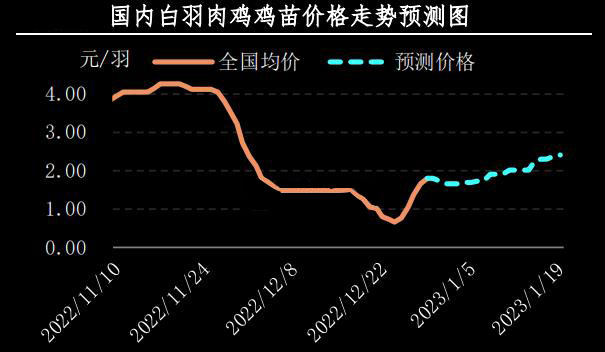 肉鸡市场行情汇总