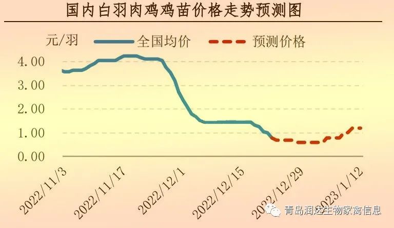 肉鸡市场行情汇总