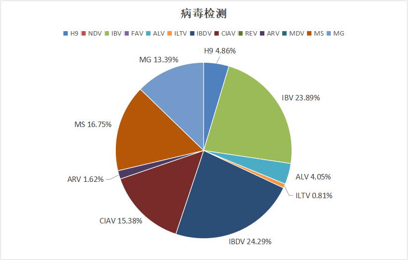 2024年1月白羽肉鸡疫病检测分析报告